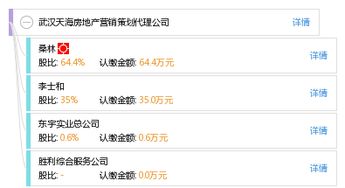 突破传统 武汉天海房地产营销策划的进阶之道